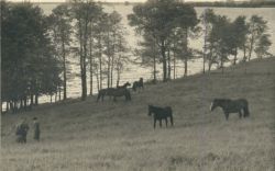 Familie Bergmann Gunstnik