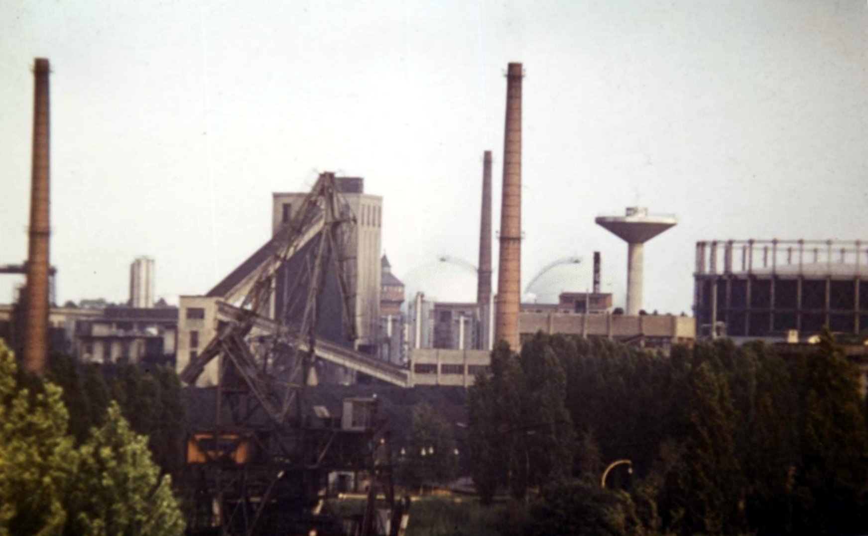 © 2011 Foto Winfried Meier- Grafling