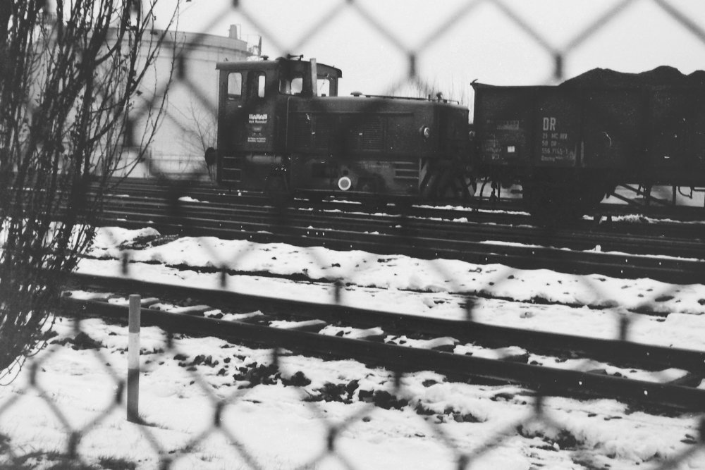 © 2011 Foto Winfried Meier- Grafling