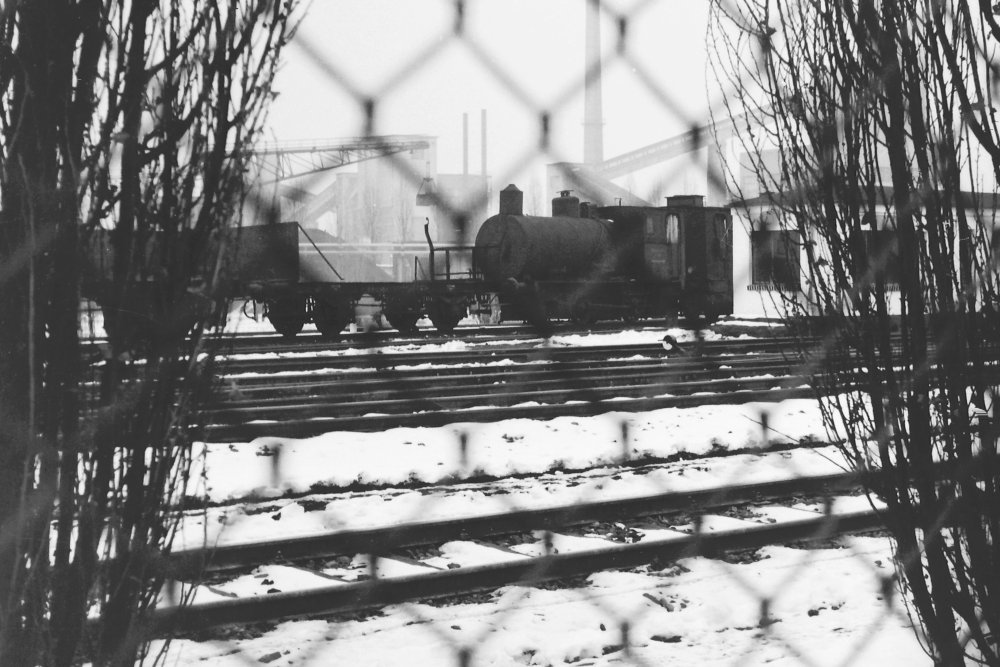 © 2011 Foto Winfried Meier- Grafling