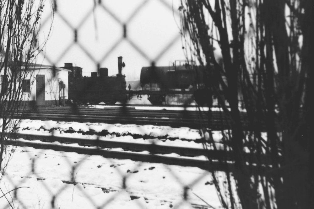 © 2011 Foto Winfried Meier- Grafling