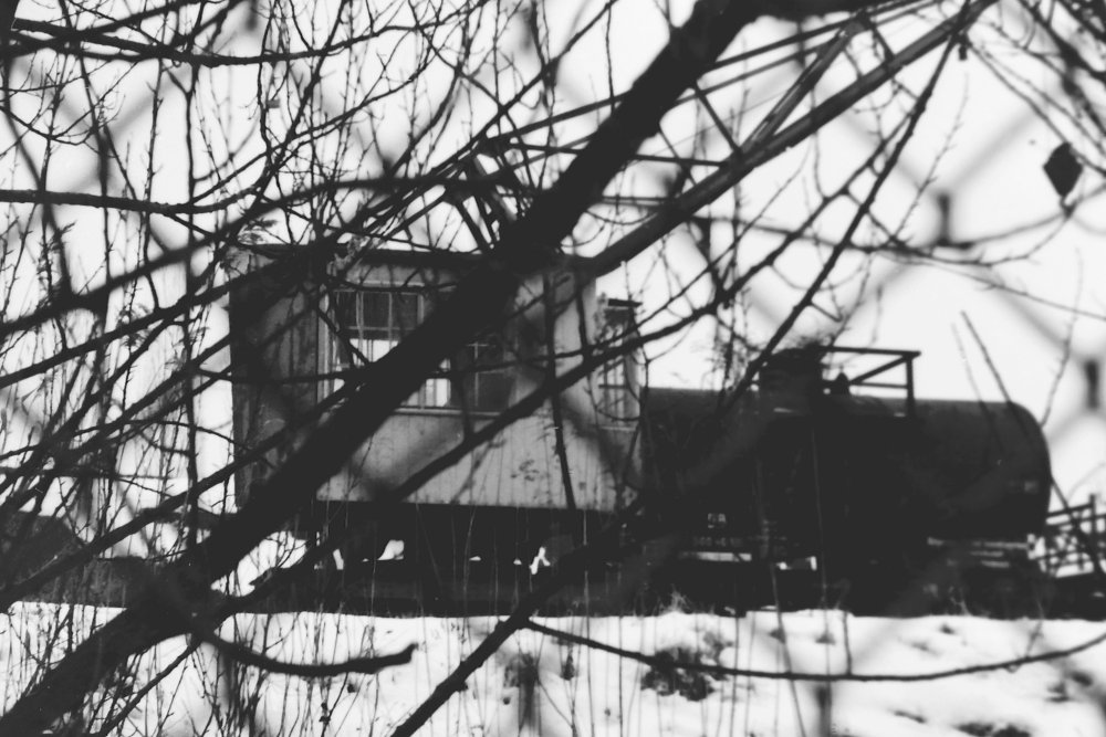 © 2011 Foto Winfried Meier- Grafling