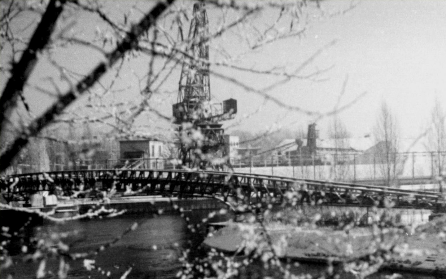 © 2011 Foto Winfried Meier- Grafling